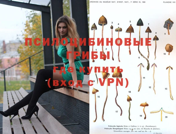 не бодяженный Баксан