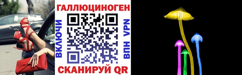 цены   Котельники  Псилоцибиновые грибы Magic Shrooms 